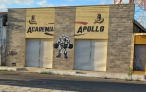 Academia Apollo
