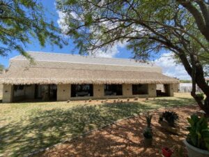 Casa Cactus Praia