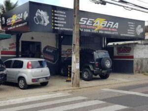 Seabra Auto Elétrica